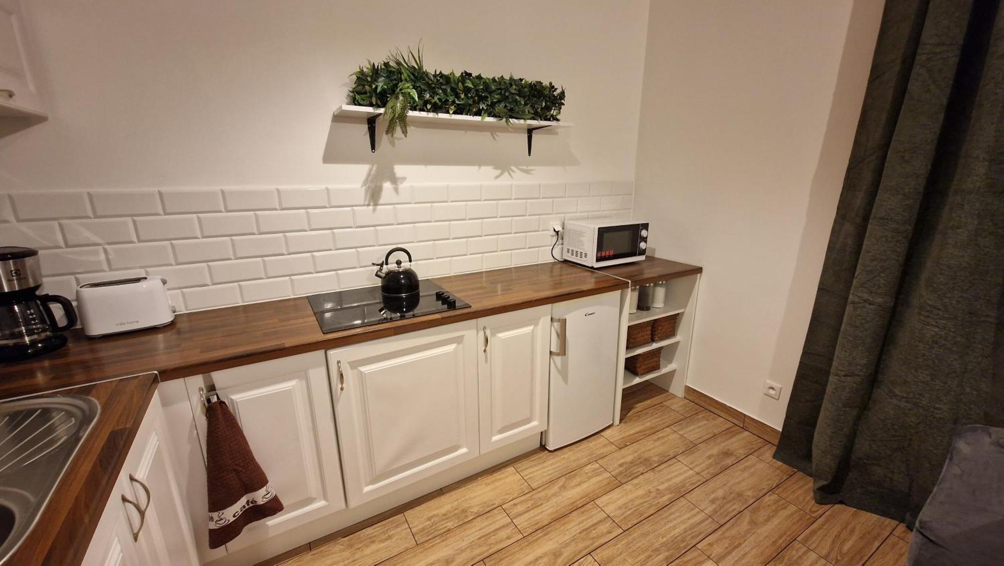 Monia Apartment Świeradów-Zdrój Buitenkant foto
